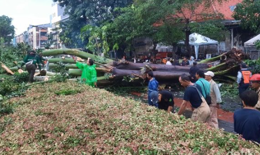pohon-tumbang-di-pinangsia-jakarta-barat-menutup-jalan