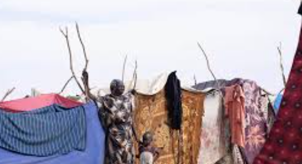 Krisis Kemanusiaan di Perbatasan yang Memicu Perhatian Dunia